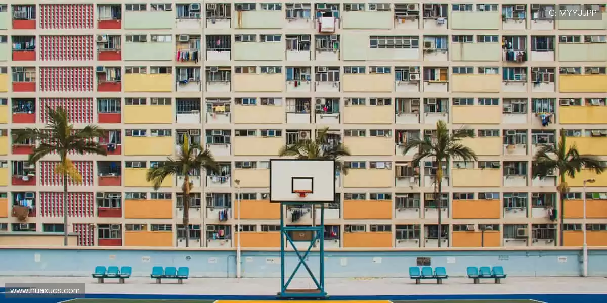 📺 高清直播，实时互动！不错过每一个心跳瞬间！